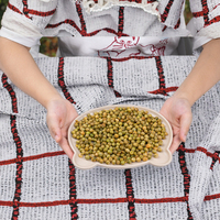 Snacks de pois verts cuits au sel, saveurs épicées, croustillants et frits, saveurs uniques de wasabi et d'ail, BBQ, emballés en vrac, soja