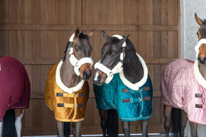 Couverture d'écurie pour chevaux en velours doublé de polyester durable, tailles personnalisées pour la protection hivernale - Product Image 6