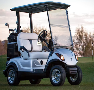 Voiturette de golf électrique chinoise 2026, mini-voiturette de club 2 places, la moins chère, véhicule buggy 2/3/4/6 places - Product Image 1