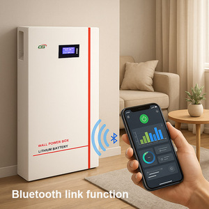 Batería Solar BG01 de 100 Ah, 5,12 kWh, 24 Voltios, <span class=keywords><strong>200</strong></span> Amperios, Batería Lifepo4 de 51,2 V, Litio de 300 Amperios, Sistema de Almacenamiento de Energía Doméstica - Product Image 2