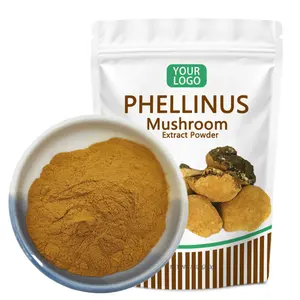 Özel etiket 30% polisakkarit Phellinus Linteus mantar tozu Phellinus Linteus özü