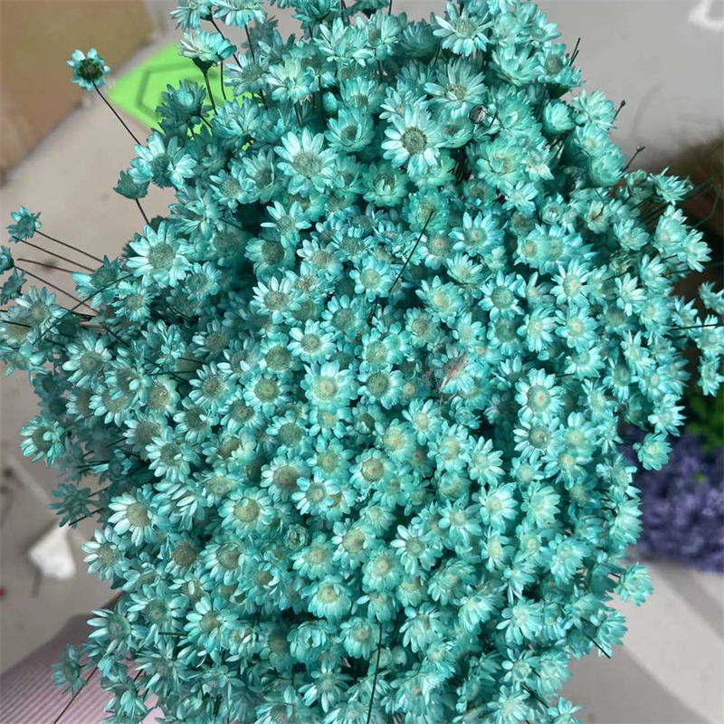 Turchese