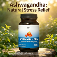 Capsules d'Ashwagandha pour la mémoire et les fonctions cognitives, complément d'Ashwagandha