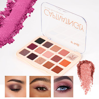 Créez votre propre marque privée, Palette d'ombres à paupières 9 couleurs captivantes, 15 ombres à paupières multi-finitions