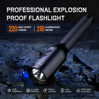 Nouvelle lampe torche LED industrielle D6, design anti-explosion, lumière puissante, secours d'urgence, protection des pompiers, protection du travail, aluminium