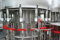 Machine de remplissage entièrement automatique 2-en-1 pour bouteilles de 500 ml et 2 L, idéale pour l'extraction d'huiles essentielles et l'huile de tournesol (1 L)