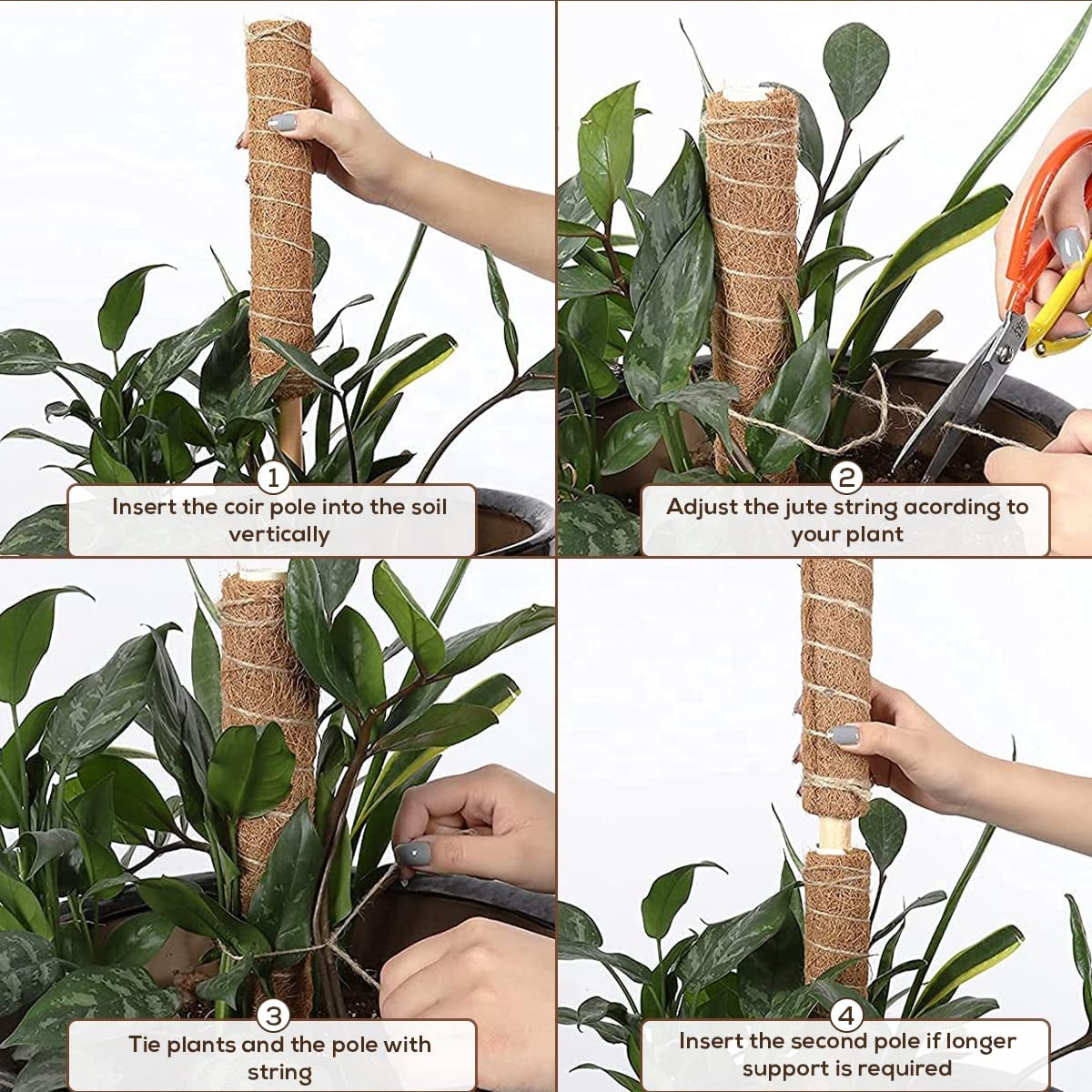Coconut Coir Moss Totem Pole - Support for Monstera Plant