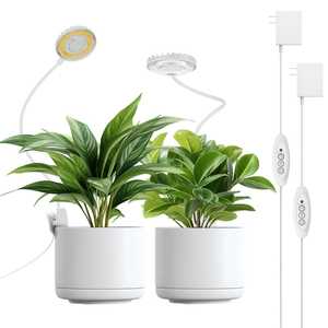 Luces de Cultivo para Plantas que Solucionan el Problema de la Escasez de Luz Interior, Lámpara de Cultivo para Plantas, Coloreación de Suculentas que Resulta en Mayor Concentración de Azúcar - Product Image 2