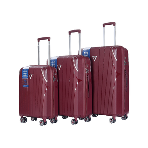 Custom Large Aluminium <strong>Trolley</strong> 20 24 28 PP Suitcase Luggage Sets with TSA Lock Travel Suitcase - Product Image 6