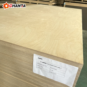 <span class=keywords><strong>Tablero</strong></span> de <span class=keywords><strong>Contrachapado</strong></span> de Abedul Blanco 100% Recubierto con Resina Fenólica de 12 mm y 18 mm - Product Image 1