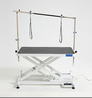 Table de toilettage électrique de luxe pour animaux de compagnie