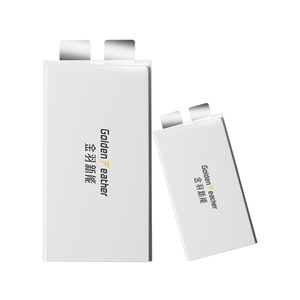 Batería de estado cuasi sólido sin ánodos de la serie <span class=keywords><strong>Infinity</strong></span> de GF Energy - Product Image 6