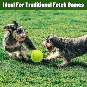 Balles de tennis colorées et résistantes pour animaux de compagnie, en caoutchouc durable, interactives et couineuses, pour l'entraînement et le jeu de rapport du chien, faciles à attraper - Product Image 6