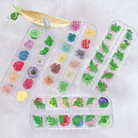 Fleurs séchées pour nail art, style japonais et français, été, brillantes, fines, paillettes 3D, gypsophile, grandes fleurs, 12 couleurs, petites marguerites, feuilles vertes