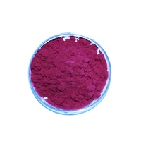 Poudre de Betterave Pigmentée de Haute Qualité, Poudre de Betterave Rouge, Poudre de Racine de Betterave