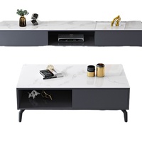 Table de thé nordique légère, combinaison avec assiette en rock simple moderne, verre trempé, petit meuble TV pour salon