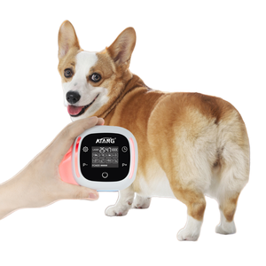 <span class=keywords><strong>Venta</strong></span> directa <span class=keywords><strong>de</strong></span> láser veterinario para usuarios domésticos, terapeutas <span class=keywords><strong>de</strong></span> mascotas y cuidado <span class=keywords><strong>de</strong></span> animales exóticos, terapia <span class=keywords><strong>de</strong></span> frío terapéutica para felinos caninos - Product Image 3