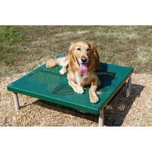 Campo de parque canino - Product Image 5