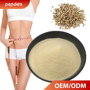 Peptides végétaux halal à petites molécules pour la gestion du poids, extraits à base de plantes, graines de chanvre, brûleur de graisse, peptides - Product Image 1