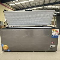 Réfrigérateur horizontal commercial de 470 L - Congélateur entièrement congelé - Utilisation commerciale et domestique - Conservation à température unique