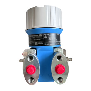 E+H Diferencial Deltabar PMD55-0.1% Precisión de Platino Material 316L IP68/IP67 1 Año de Garantía PMD55 Endress+Hauser PMP55 PMP71 - Product Image 4