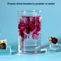 Groothandel Bulk Gedroogde Blauwe Bessen 2-6mm Gefreeze-droogde Blauwe Bessenkorrels Geplette Vruchten voor Thee & Bak Ingrediënten