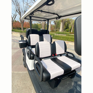 Voiture de <span class=keywords><strong>golf</strong></span> électrique ZYCAR, cadre en aluminium multifonctionnel, suspension indépendante, avec compteur <span class=keywords><strong>professionnel</strong></span> - Product Image 6