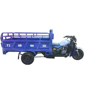 Triciclo Motorizado con Volquete Hidráulico, Motor de 200-250cc, Carrocería Abierta, Peso en Vacío de 500 kg, Motocicleta Triciclo - Product Image 3