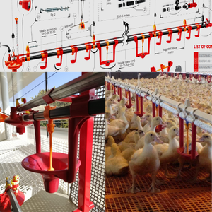 Sistema de Bebederos Automáticos para Aves de Corral, Diámetro 20cm, Profundidad 11cm, Fabricante Vietnamita MAVINEX, 1 Año de Garantía - Product Image 5