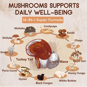 Complément en capsules de mélange d'extraits de champignons <span class=keywords><strong>Lion</strong></span>'s Mane, Reishi, Cordyceps, Turkey Tail et Chaga, végétalien, 14-en-1, marque privée - Product Image 2