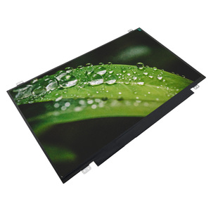 Medical Imaging 1920x1080 High Resolution IPS 15.6 Inch <b>LCD</b> <b>Module</b> - Product Image 2