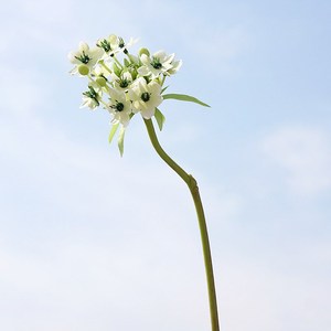 Prix d'usine – Fleurs artificielles en velours de 65 cm : Lys Cœur Sacré et Fleurs de Prunier pour la décoration intérieure de bureau et de maison - Product Image 4