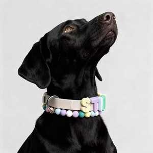 Conjunto de Correa y <span class=keywords><strong>Collar</strong></span> para Mascotas Ajustable, de Poliéster Ecológico Suave, con Hebilla, Personalizable - Product Image 5