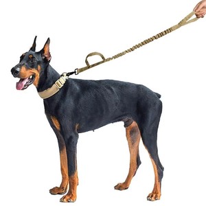 Laisses de dressage pour chien en nylon avec 2 poignées de sécurité - Product Image 5