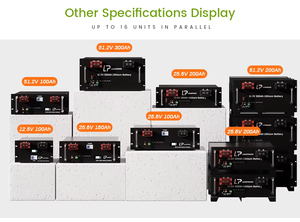 Batería LP <span class=keywords><strong>12V</strong></span>/24V Lifepo4 50Ah 100Ah 150Ah 200Ah 300Ah 400ah 10 años de garantía Batería Lifepo4 para el hogar residencial - Product Image 3