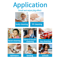 Toallitas Húmedas para Bebé Spunlace, Fórmula Hidratante, Aloe Vera Natural, Suaves y Absorbentes, Sin Alcohol, Cuidado Infantil, Proveedor OEM Personalizado