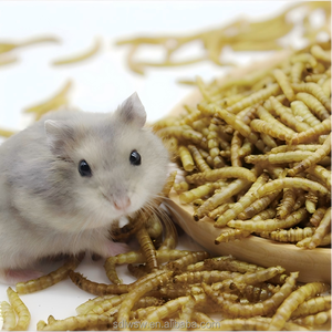 Vers de farine séchés, additif alimentaire riche en protéines, aliment pour bétail, nourriture pour oiseaux, appât pour poissons, nourriture pour animaux de compagnie, alimentation aquatique - Product Image 2