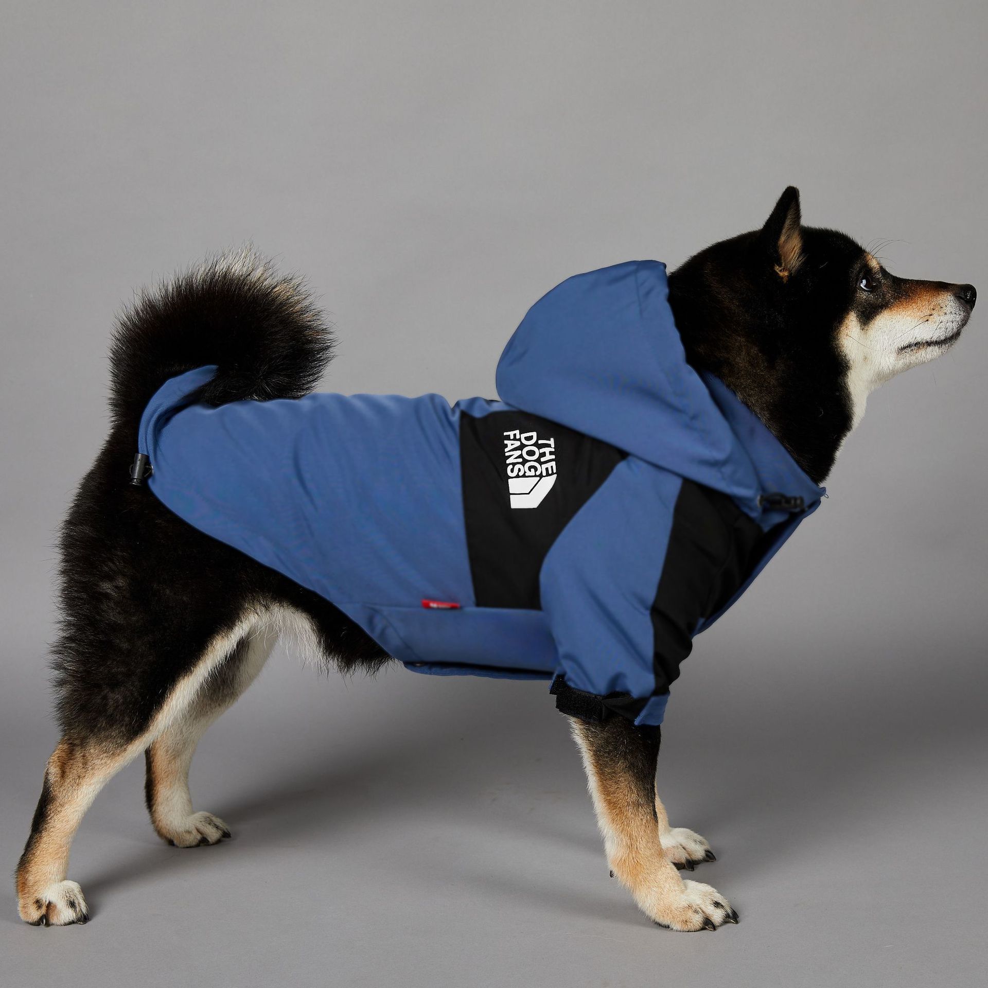 Venta al por mayor impermeable chaquetas para perros muestra de invierno cálido abrigo de lluvia grande ropa para mascotas ropa personalizada para perros