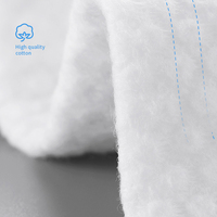 Nouvelles serviettes et lingettes jetables non tissées douces et épaisses pour le visage, démaquillantes et nettoyantes, pour peaux sensibles, modèle 2026 (OEM)