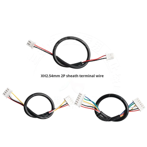 Ph2.0Mm/Xh2.54Mm PVC/PTFE tembaga murni multi-inti 2464 kabel koneksi Terminal berselubung tunggal/dua ujung 2-6p IP67 komputer - Product Image 3