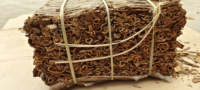 Épices chinoises de haute qualité en vente directe, cannelle cassée, cannelle de Cassia entière pressée