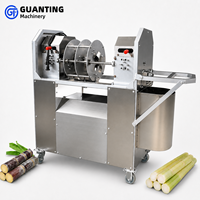 Industriële suikerrietenschilmachine 1500W Automatische rietschiller voor fruitwinkels en drankenwinkels