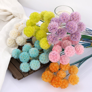 Venta al por mayor de flores secas artesanales en forma de bola: Scabiosa Atropurpurea, Pristimera Zante, elegantes y duraderas. - Product Image 4