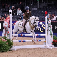 Aochi Nouveau Design Compétition Cheval Produits Barrière de saut Parcours d'obstacles extérieur Spectacle hippique Saut d'obstacles