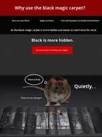 Répulsif Souris en Plastique Écologique à Adhésion Forte, Tapis Magique Invisible Extra Large et Épais, Spécial Usage Domestique
