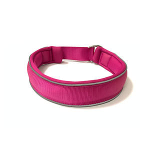 <span class=keywords><strong>Collar</strong></span> de Perro Personalizado Ajustable Tipo Martingala, Deslizante, Reflectante, de Nailon, con Forro de Espuma EVA Suave y Neopreno - Product Image 2