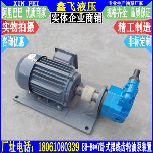 WBZ Horizontale Zahnradpumpen-Motoreinheit aus Gusseisen mit Druckregulierung für Werkzeugmaschinen-Schmierung - Product Image 3