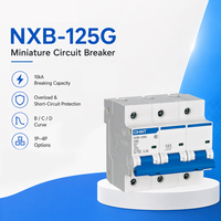 Disjoncteur AC CHINT NXB-125G à courbe D, 3P, 63A, 80A, 100A, avec Ics de 7500A pour systèmes de pompes, optimisé pour les moteurs