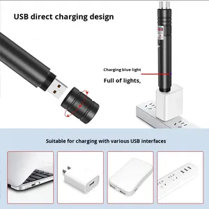 Evcil Hayvanlar İçin Klasik Lüks Çevre Dostu Yüksek Güçlü Yeşil Kırmızı Özelleştirilmiş Desenli USB Şarjlı Lazer İşaretleyici - Product Image 3