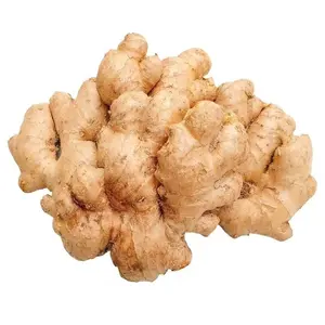 New Crop Fresh Ginger Ginger exportação de gengibre fresco com alta qualidade
